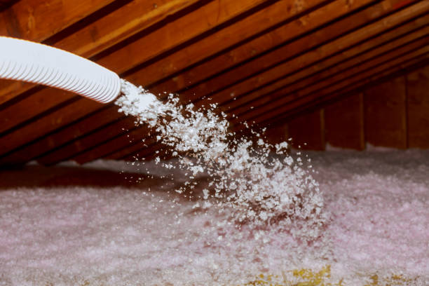 Best Commercial Insulation in Chadbourn, NC